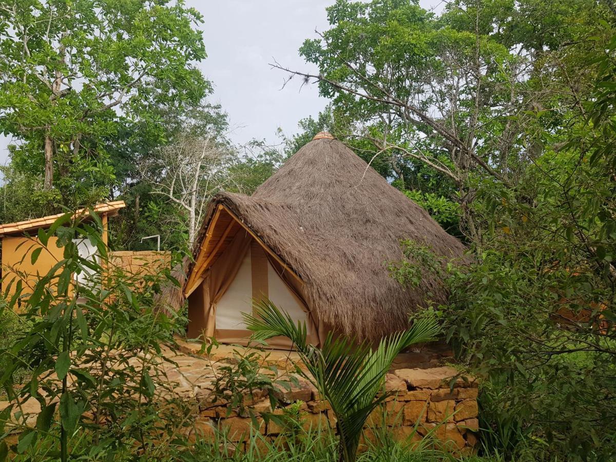 מלון בריצ'ארה Nativo Glamping מראה חיצוני תמונה
