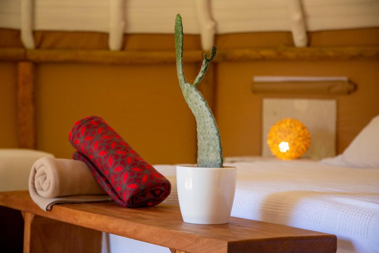 מלון בריצ'ארה Nativo Glamping מראה חיצוני תמונה
