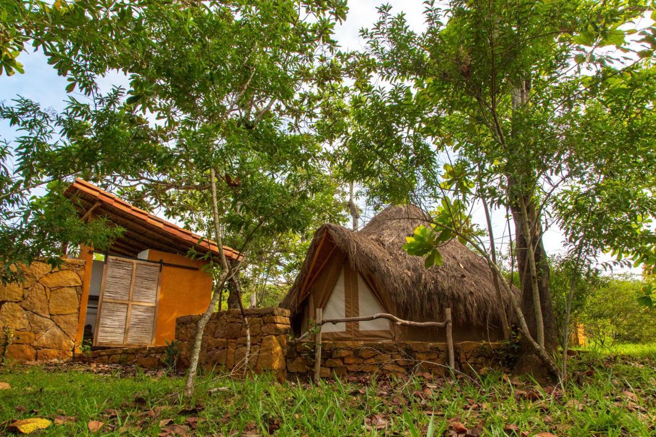 מלון בריצ'ארה Nativo Glamping מראה חיצוני תמונה