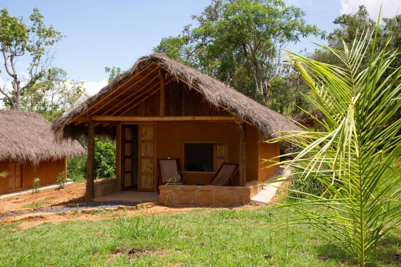 מלון בריצ'ארה Nativo Glamping מראה חיצוני תמונה