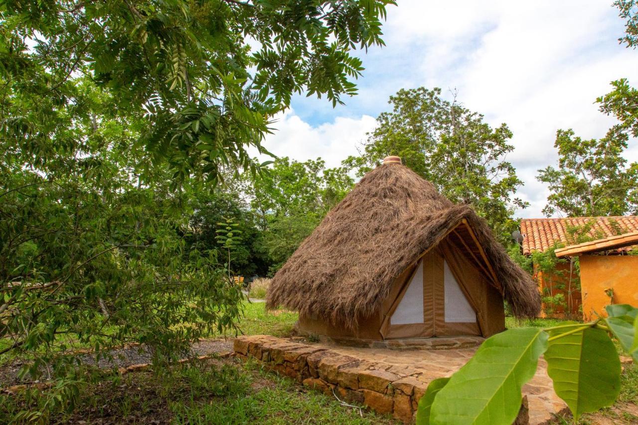 מלון בריצ'ארה Nativo Glamping מראה חיצוני תמונה