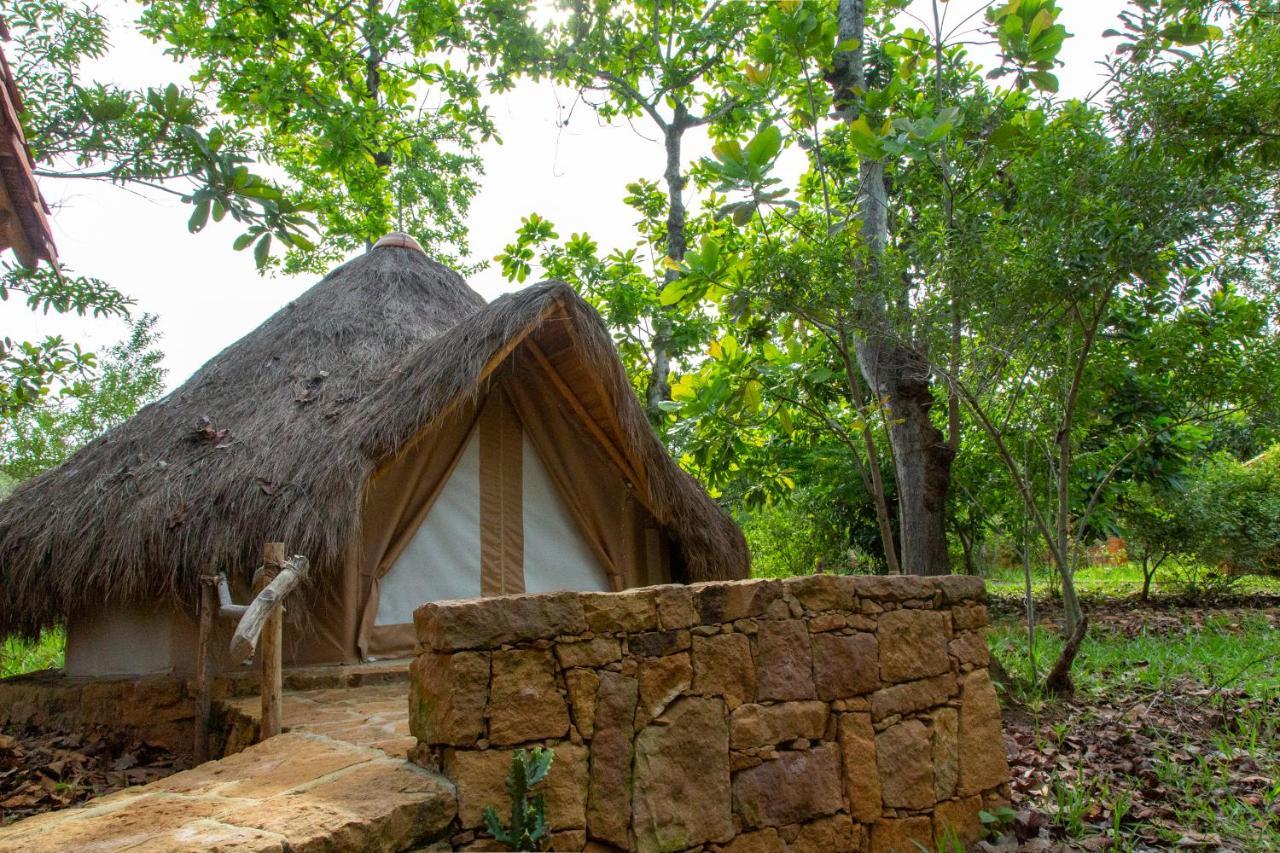 מלון בריצ'ארה Nativo Glamping מראה חיצוני תמונה