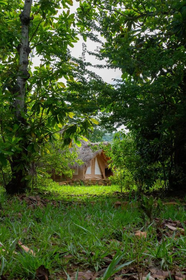 מלון בריצ'ארה Nativo Glamping מראה חיצוני תמונה